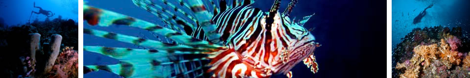 Welcome to UnderwaterAsia.info