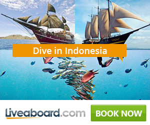 Liveaboard Philippines