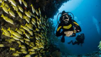 Banda Sea diving