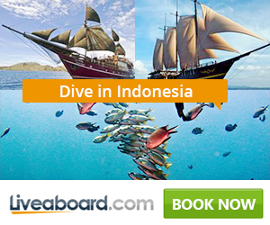 Find your Indonesia liveaboard on with Liveaboard.com Liveaboard Philippines