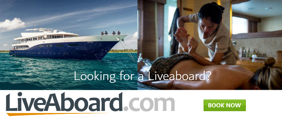 Find your liveaboard on with Liveaboard.com Liveaboard diving asia