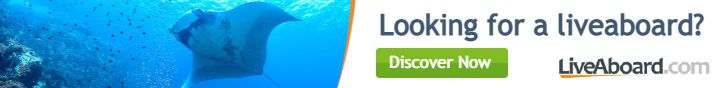 Find your liveaboard on with Liveaboard.com Liveaboard diving asia