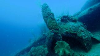 Dive on war wrecks in Madang